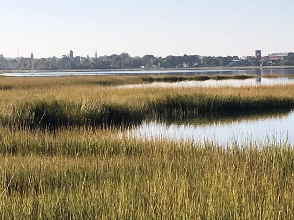 The outlines of downtown Warren and the old American Tourister factory can be seen from the shores of Haile Farm.