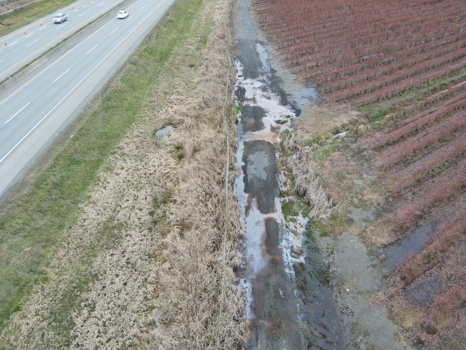 Drone operator John Easton says this photo, taken several weeks after the train derailment, shows contaminants migrating through a culvert towards a blueberry farm. (John Easton - image credit)