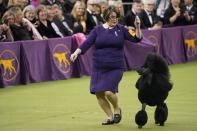 2020 Westminster Kennel Club Dog Show at Madison Square Garden in New York City