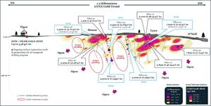 Cross-section of Lynx gold area with today’s reported results