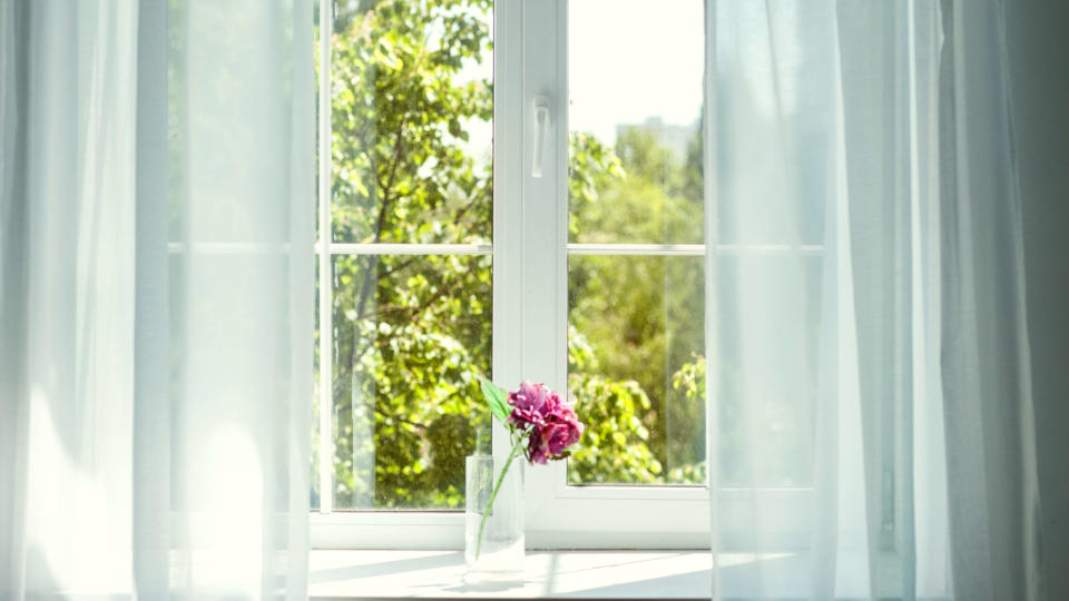 Window sill with light voile curtain and small vase of flowers