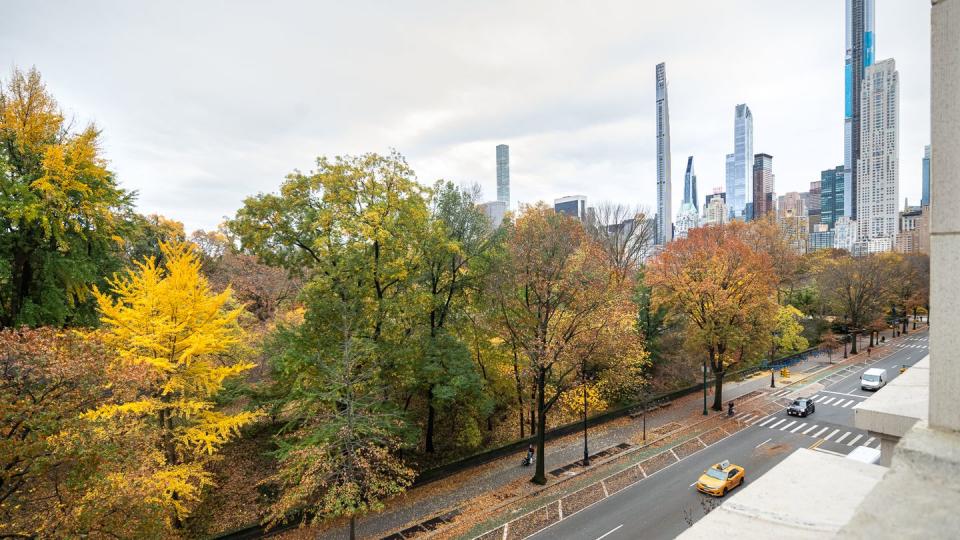 a road with trees and buildings on the side