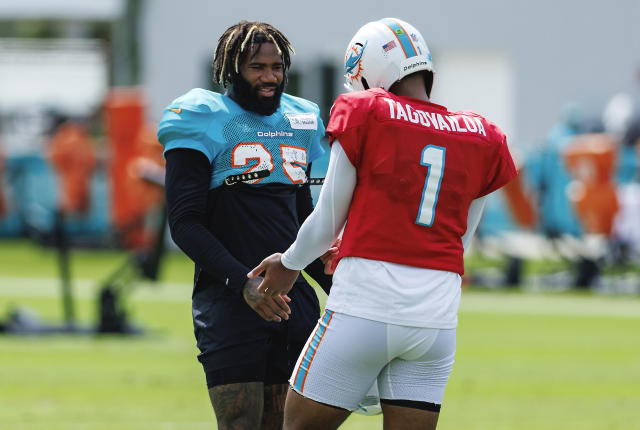 miami dolphins 25