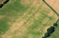 <p>A Roman farm in Bicton, Devon shows fields and paddocks surrounding a central enclosure (Historic England) </p>