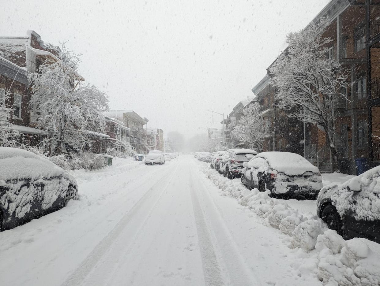 Snowfall warnings are in effect for many areas across the province.  (Flavie Villeneuve/Radio-Canada - image credit)