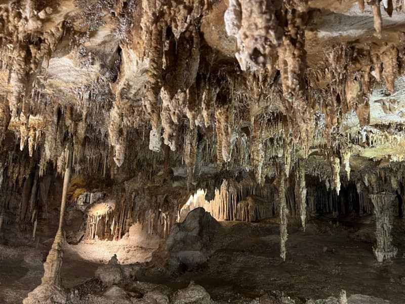 Lehmann Caves in Nevada are home to a delicate ecosystem - with stalactites and stalagmites, and some animals and insects that can only be found there. Verena Wolff/dpa