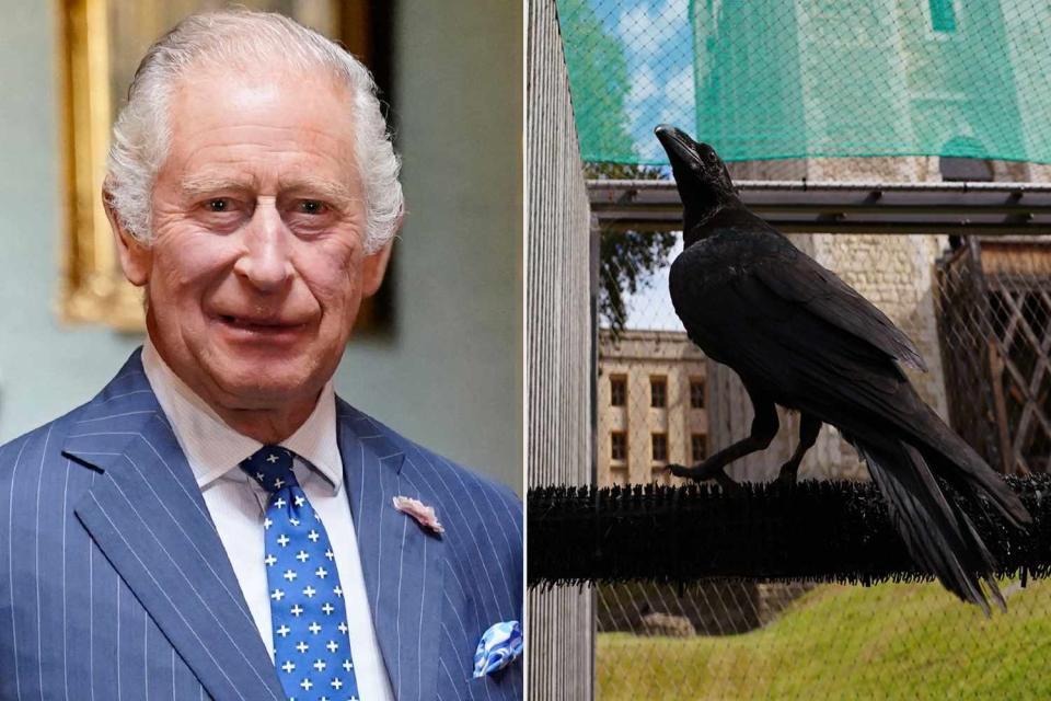 <p>ANDREW MATTHEWS/POOL/AFP via Getty Images; Historic Royal Palaces</p> King Charles has inspired the name of a new baby raven at the Tower of London