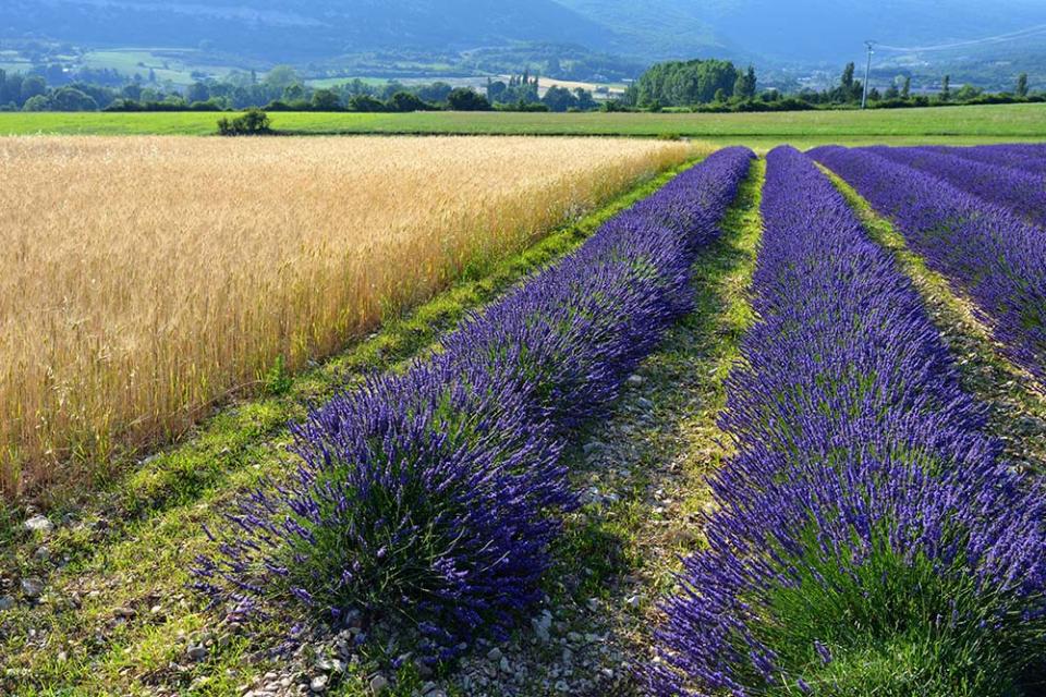 索村高原（Image Source : Getty Creative/iStockphoto）