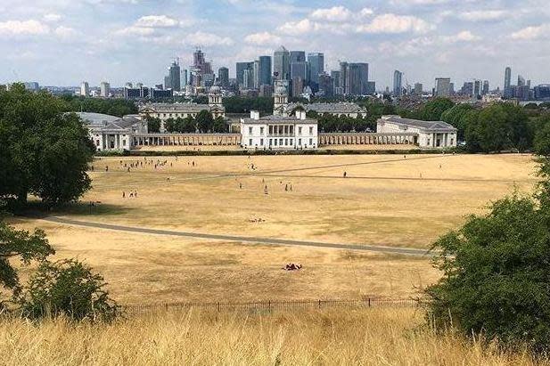 Greenwich Park has turned yellow and brown due to scorching temperatures (Marta Perez Sainero )