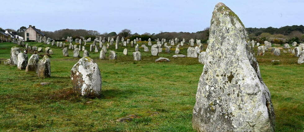 Les menhirs du chemin de Montauban n’existent plus en raison de la construction d'un Mr Bricolage à la place (photo d'illustration).  - Credit:THIERRY CREUX / MAXPPP / PHOTOPQR/OUEST FRANCE/MAXPPP