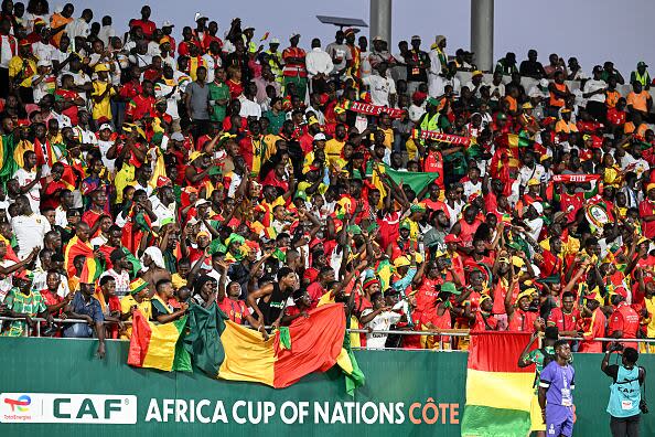 Guinea's supporters wave during the Africa Cup of Nations group C match between Cameroon and Guinea n Yamoussoukro on Jan. 15. (AFP via Getty Images - image credit)