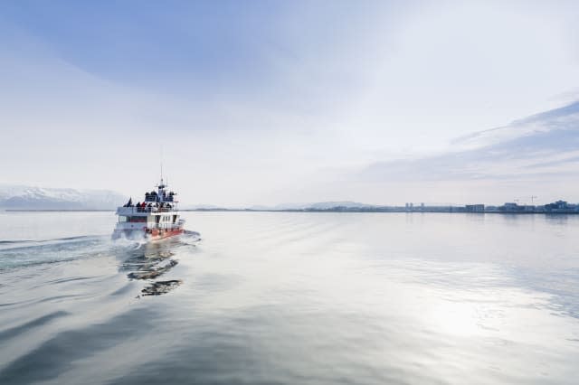 Whale watching boat, Reykjavik, Iceland