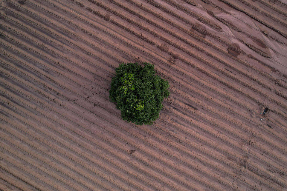 Arid land that has been prepared for cultivation is seen in Anantapur district, Andhra Pradesh, India, Wednesday, Sept. 14, 2022. Anantapur and its people are greatly impacted by desertification — the process by which fertile land becomes a desert. Climate change only hastens this transformation. (AP Photo/Rafiq Maqbool)