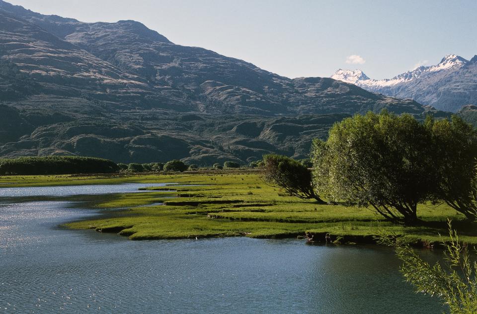 NEW ZEALAND - FEBRUARY 9: River flowing between trees and dense vegetation, Mount Aspiring national park (UNESCO World Heritage List, 1990), New Zealand. (Photo by DeAgostini/Getty Images)