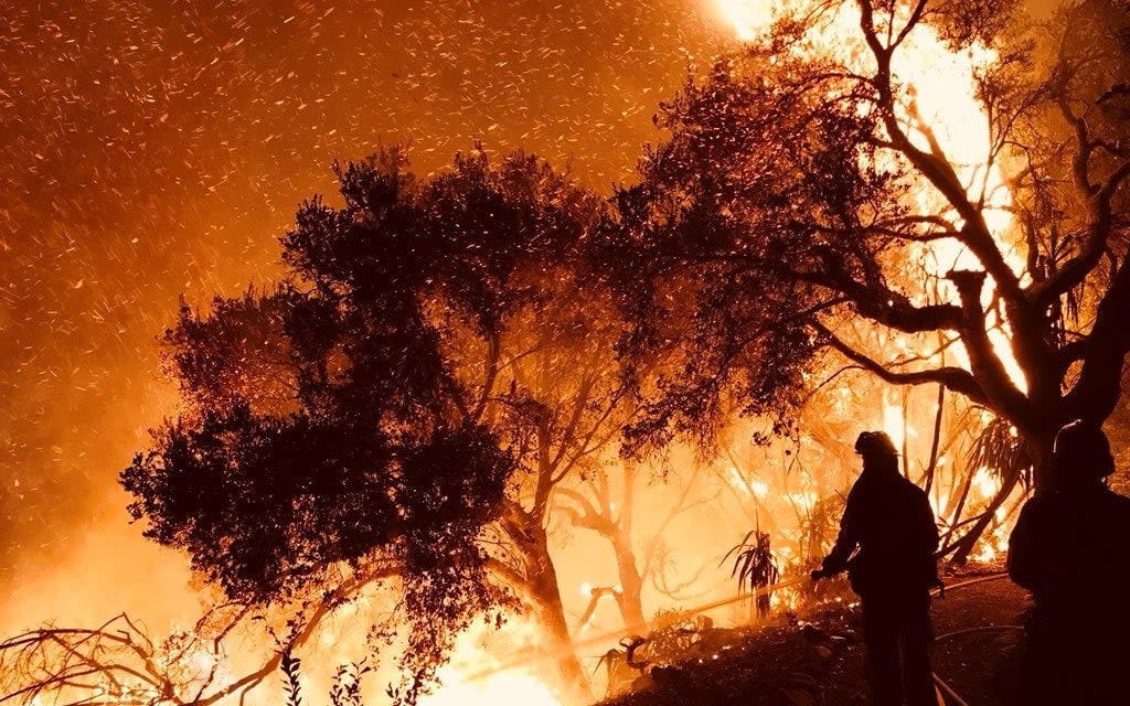 Firefighters knock down flames as they advance on homes atop Shepherd Mesa Road in Carpinteria, CA - REUTERS