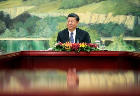 China's President Xi Jinping attends a meeting with South Korean special envoy Lee Hae-chan (unseen) at the Great Hall of the People, in Beijing, China May 19, 2017. REUTERS/Jason Lee