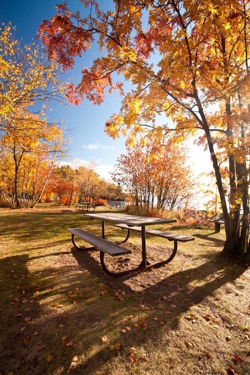 14) Have a picnic in the country.