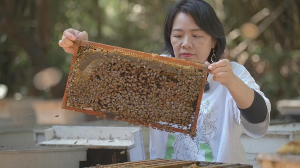 以在地蜂農產業研發多項保養品。(圖/IMAIZE 嬡妹籽提供)
