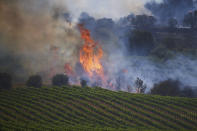 Flames rise in a vineyard in San Martin de Unx in northern Spain, Sunday, June 19, 2022. Firefighters in Spain are struggling to contain wildfires in several parts of the country which as been suffering an unusual heat wave for this time of the year. (AP Photo/Miguel Oses)