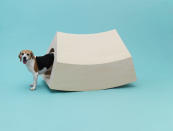 The Beagle House, by the Dutch architecture firm of MVRDV, is both a hideaway and an interactive plaything for the breed. “The curved shape invites the dog to enter the house, stimulates play, and offers a comfortable and quiet space,” says its designer. (Photo by Hiroshi Yoda / <a href="http://www.architecturefordogs.com/" rel="nofollow noopener" target="_blank" data-ylk="slk:Architecture for Dogs;elm:context_link;itc:0;sec:content-canvas" class="link ">Architecture for Dogs</a>)