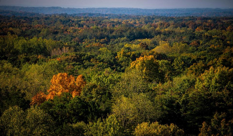 The view from the Hickory Ridge Fire Tower looking south on the morning of Wednesday, Oct. 18, 2023, shows an area that could be included in the Charles C. Deam Wilderness in the future.