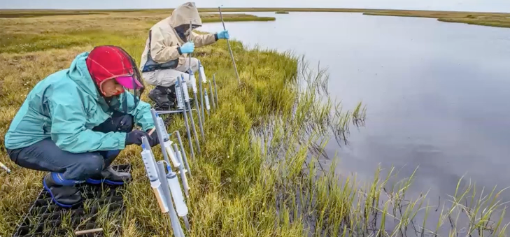Researchers measure the temperature and other features of permafrost in Alaska.