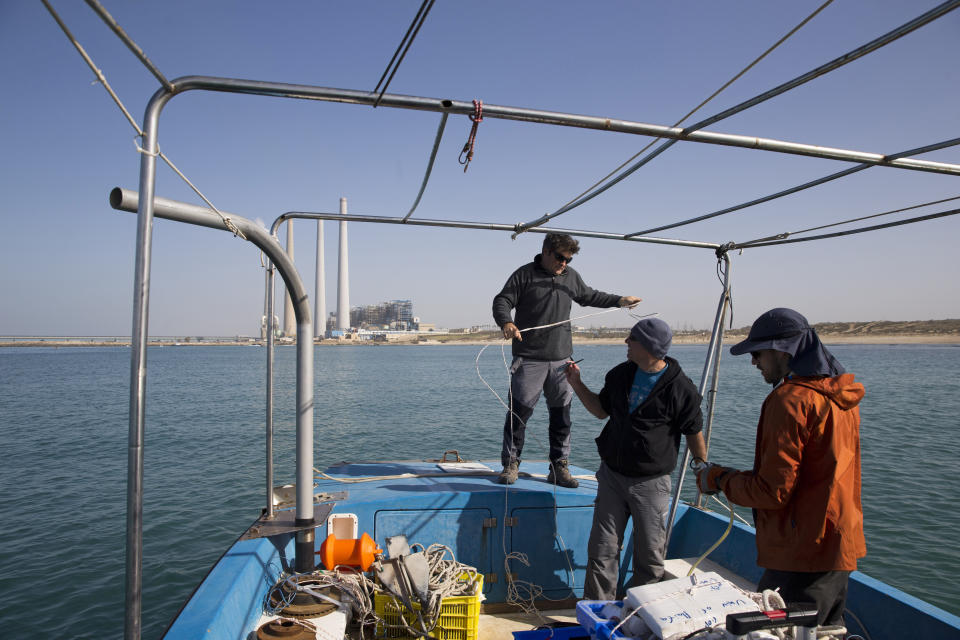 In this Monday, Jan. 21, 2019 photo, Aviad Scheinin manager of the top predator project at the Morris Kahn Marine Research Station, established by the University of Haifa, center, and his team conduct research, in the Mediterranean Sea off the coast of the northern Israeli city of Hadera. A nearby power plant may not look like the most natural habitat for sea life. But the hot water gushing from the plant is drawing schools of sharks that are increasingly endangered by overfishing. (AP Photo/Ariel Schalit)