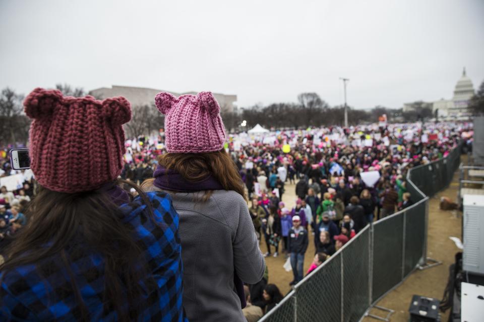 January: The reign of the pussy hat