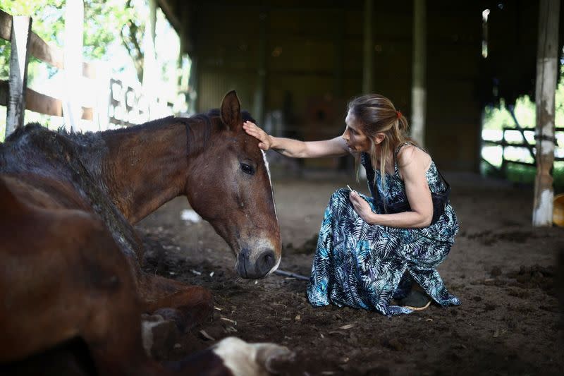 Argentinian woman gives mistreated horses second chance of life in a sanctuary