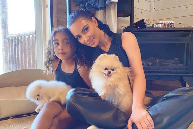 <p>Kim Kardashian/Instagram</p> North West and Kim Kardashian with two of their Pomeranians