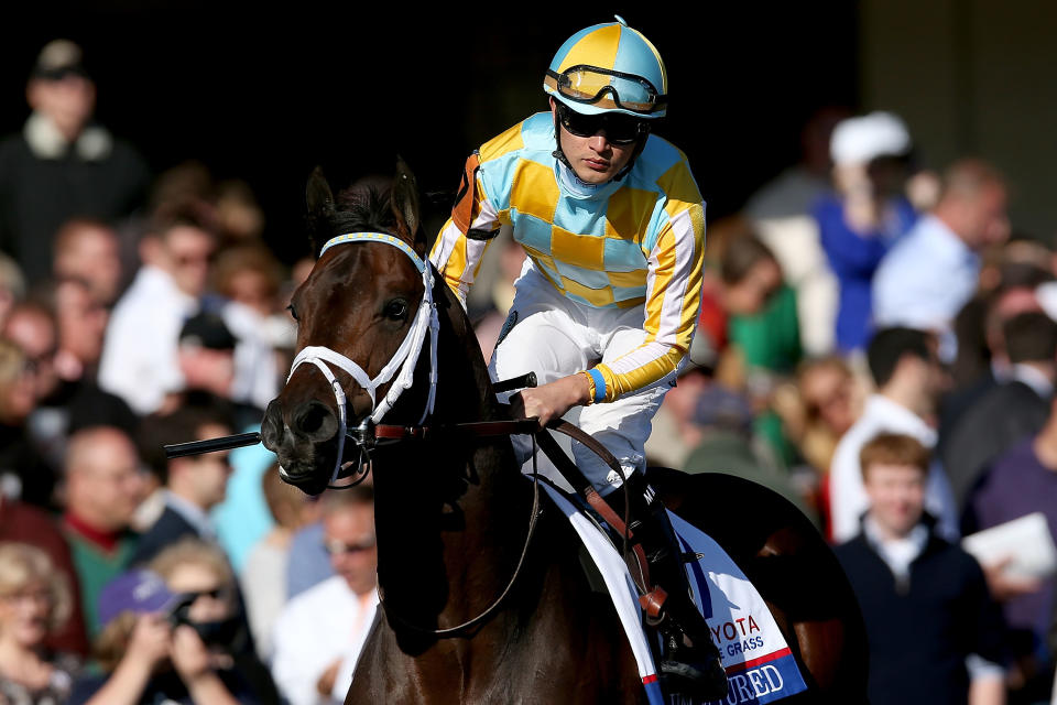 LEXINGTON, KY - APRIL 13:  Uncaptured #7, riden by Miguel Mena, is brought to the starting gate during the 89th Toyota Blue Grass Stakes at Keenland Race Course on April 13, 2013 in Lexington, Kentucky.  (Photo by Matthew Stockman/Getty Images)