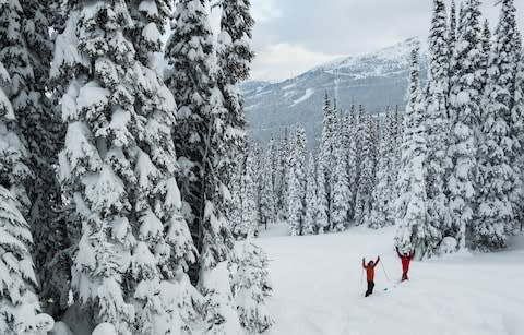 Two skiers in powder on slopes of Whistler Blackcomb - Credit: Mike Crane