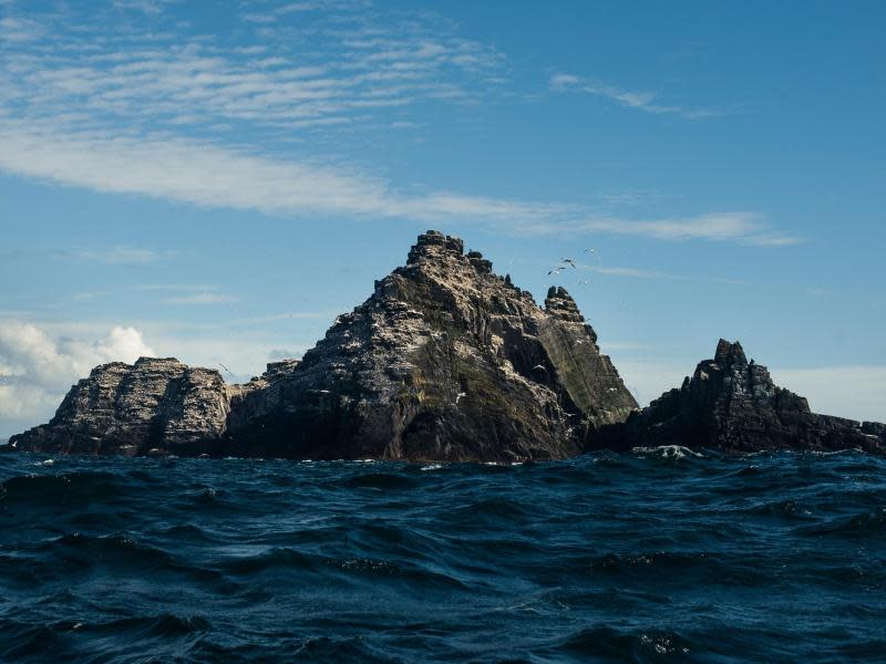 Raue Inseln wie die Skellig Islands prägen das Bild der irischen Küste. Foto: Tourism Ireland