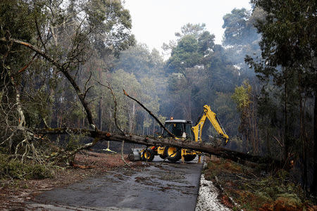 An excavator tries to remove a tree from a road after a forest fire near Marinha Grande, Portugal, October 17, 2017. REUTERS/Rafael Marchante