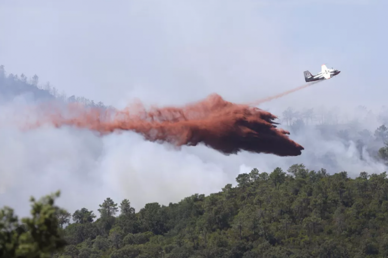 一架滅火飛機正在瓦爾省的塞隆蘇爾瑟達爾岡鎮森林的上方執行滅火任務（AP）