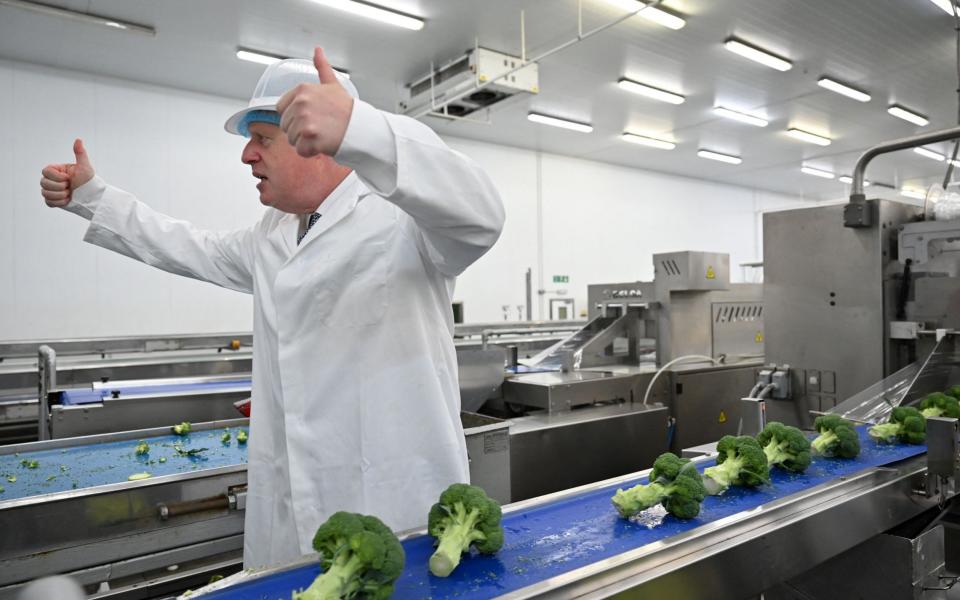  Boris Johnson helps to select broccoli for packing during a visit to Southern England Farms Ltd in Hayle in south-west England today - Justin Tallis /AFP