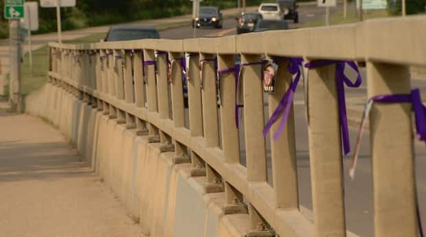 Fifty-nine photos will remain hanging along River Valley Road for the month of August.  (John Shypitka/CBC - image credit)