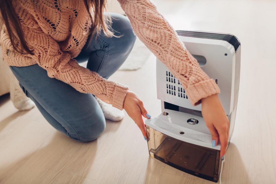 Woman wearing knit sweater removing a dehumidifier tank.