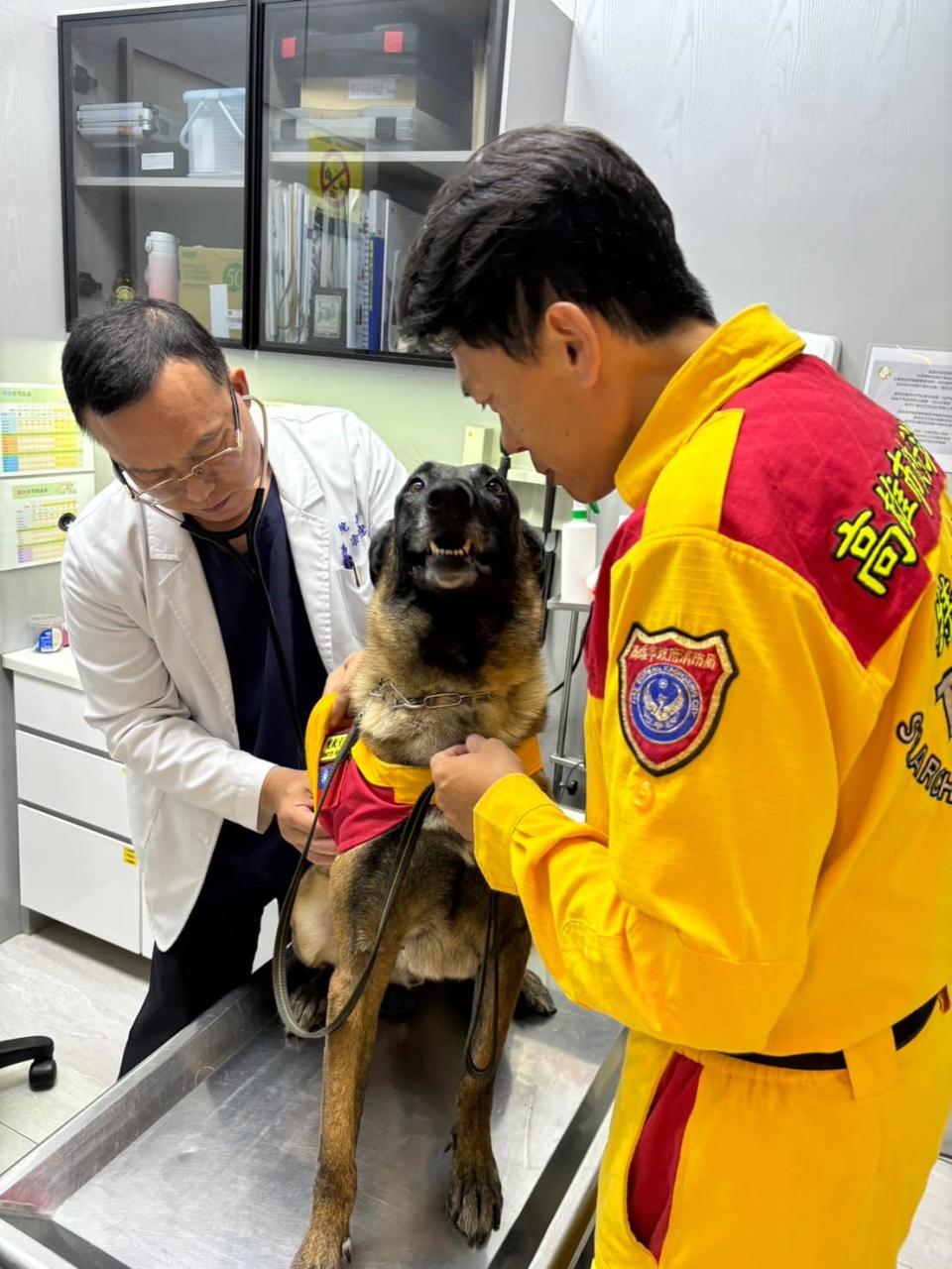 <strong>搜救犬抽血檢查。（圖／翻攝自「高雄市政府消防局特搜中隊搜救犬隊」臉書）</strong>