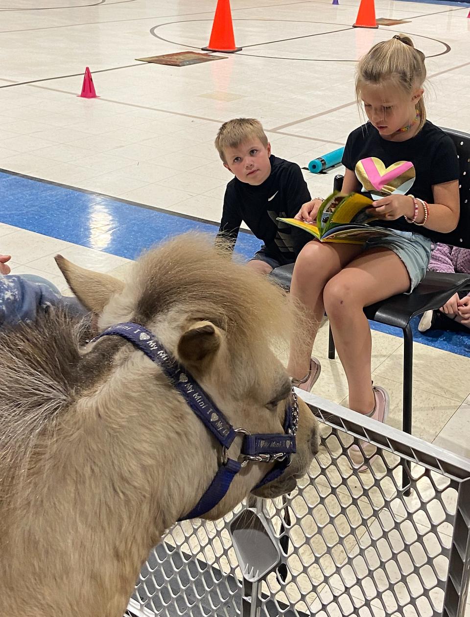 Mendon first-graders read to Echo, a therapeutic miniature horse, at the finale of their motivational reading program.