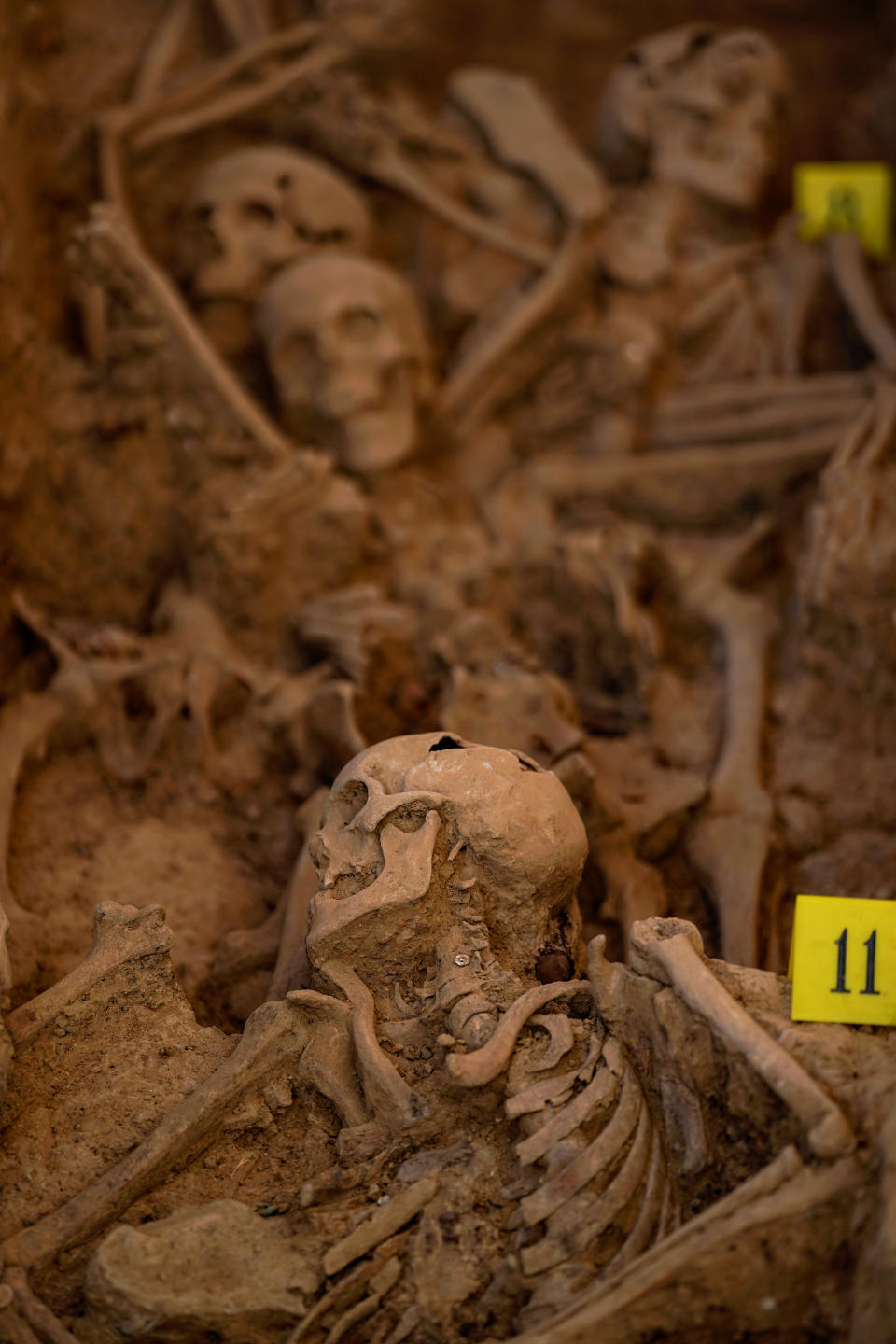 La exhumación en Huesca de 12 víctimas de la Guerra Civil