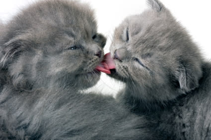 Newborn Kisses