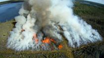 Burning B.C.: Time to fight fire with fire, says expert