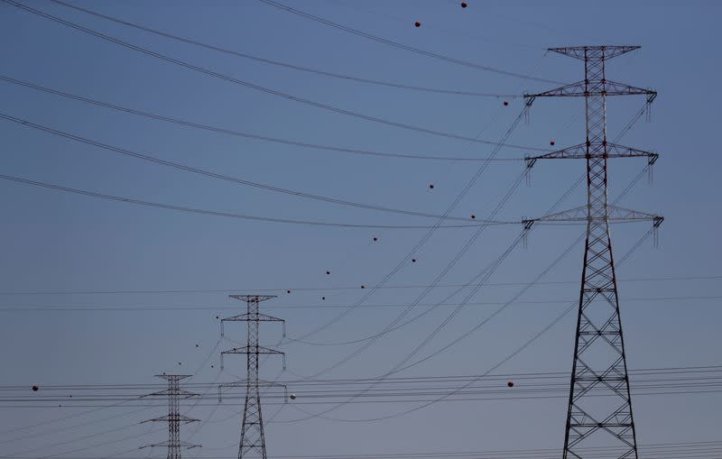 FILE PHOTO: Electric power cables are seen near an Energias de Portugal (EDP) power plant on the outskirts of Carregado