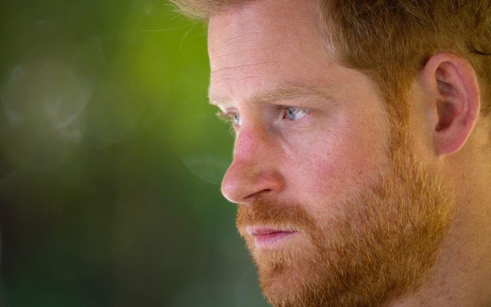 The Duke of Sussex has urged everyone to help repair the Earth - Getty Images Europe