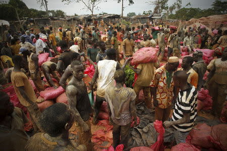 Gold prospectors gather with their bags of rock and earth at a gold mine near the village of Gamina, in western Ivory Coast, March 18, 2015. REUTERS/Luc Gnago