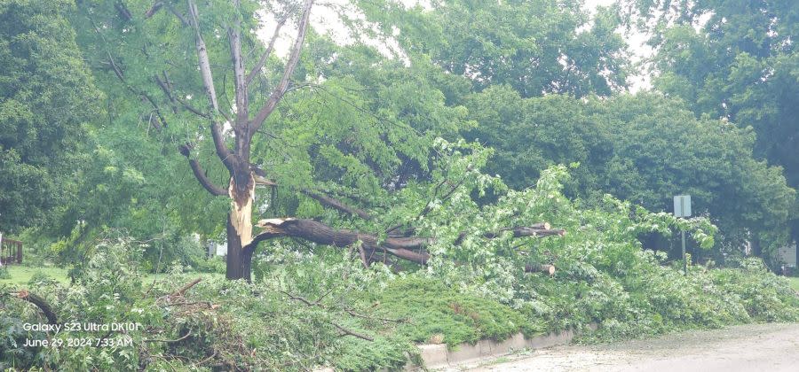 A storm caused extensive damage in Junction City on June 28, 2024. (Courtesy Jeffrey S Wenger DK101 Storm Spotter)