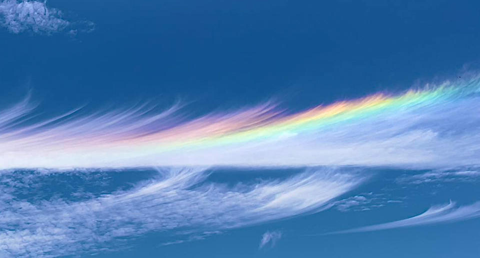 The Circumhorizontal Arc has very distinct colours. 