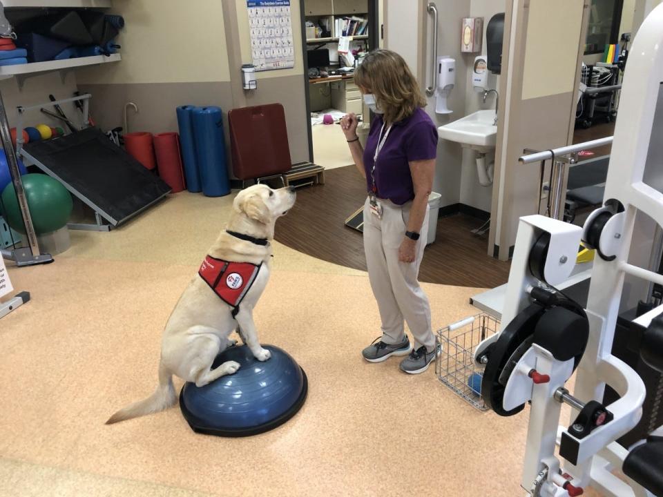 Travis and his handler, Cathy Gerrish