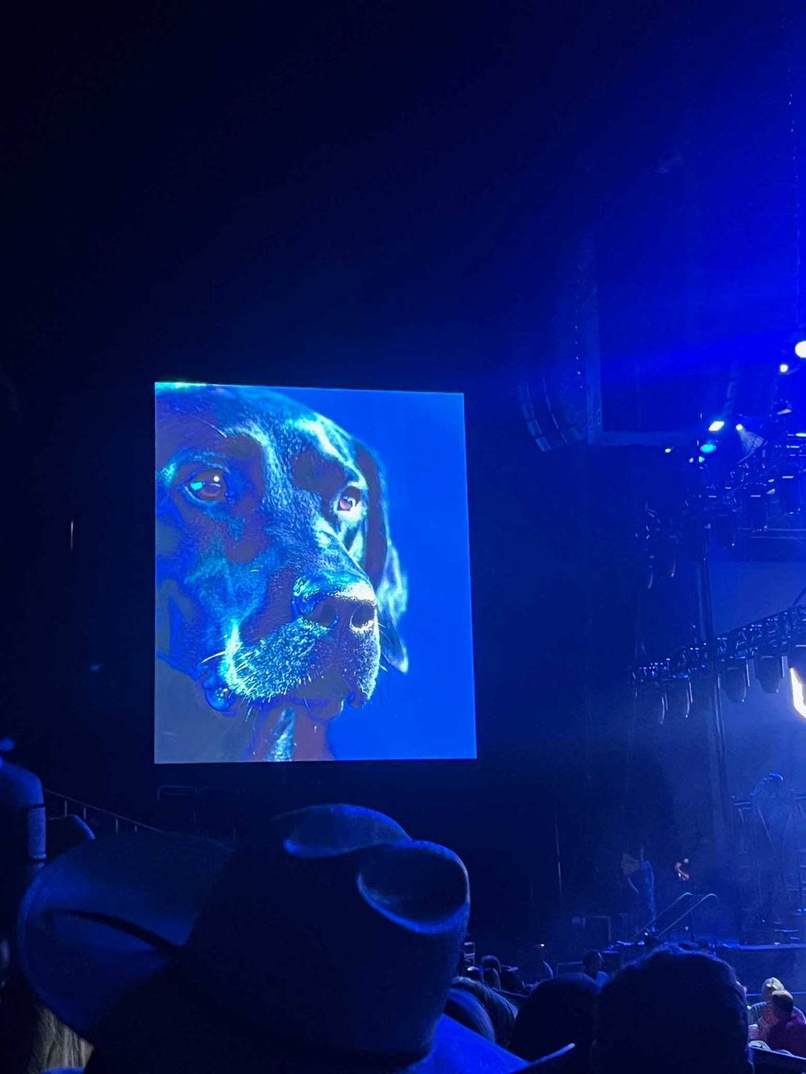 Chase Rice’s dog, Jack, is shown on stage during Dierks Bentley’s concert Friday, Aug. 23, at T-Mobile Center.